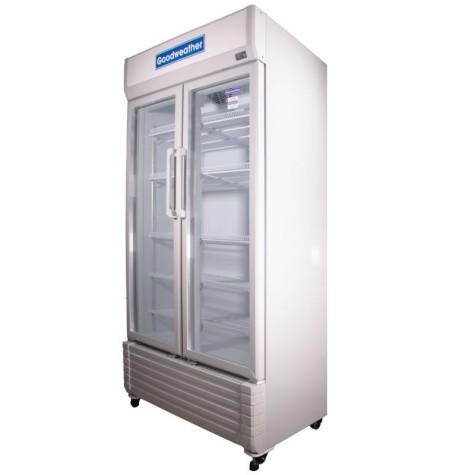 EXHIBIDOR GOODWEATHER GW-620-EF 610 LITROS